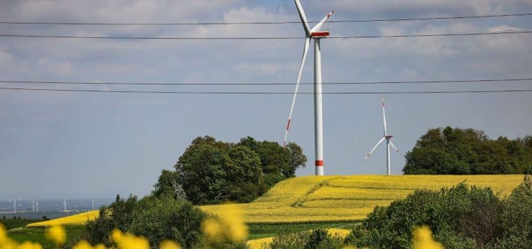 Land fördert Agrarflächen zur Doppelnutzung