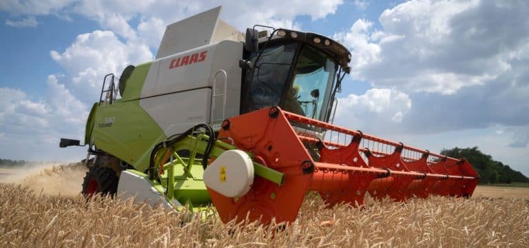 Überdurchschnittliche Getreideernte in MV