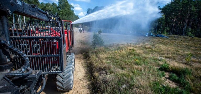 Früheres Manövergebiet unter Schutz: Heidepflege mit Feuer
