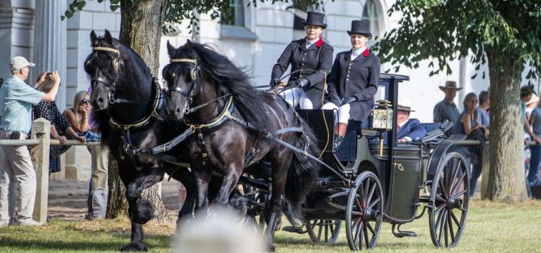 Pferde und Show bei Pferdetagen im Landgestüt Redefin