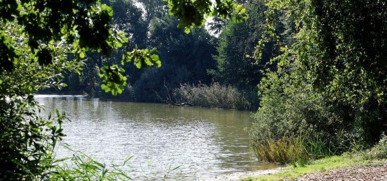 Toter Junge: Polizei hofft auf Untersuchungsergebnisse