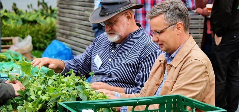 Jahresrückblick Wismar: Das waren unsere Schlagzeilen – September 2023