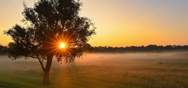 September ungewöhnlich warm und trocken