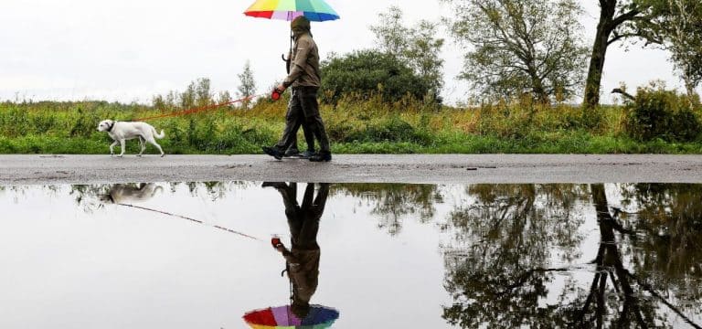 Nach Wind und Regen trockenes Wetter in MV erwartet