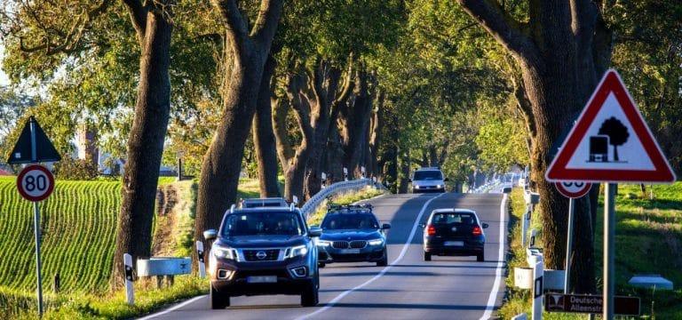 BUND: Auf Kreisebene mehr Alleebäume pflanzen – Alleentag MV