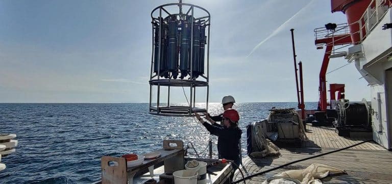 Verschmutzung: Zustand der Ostsee kaum verbessert