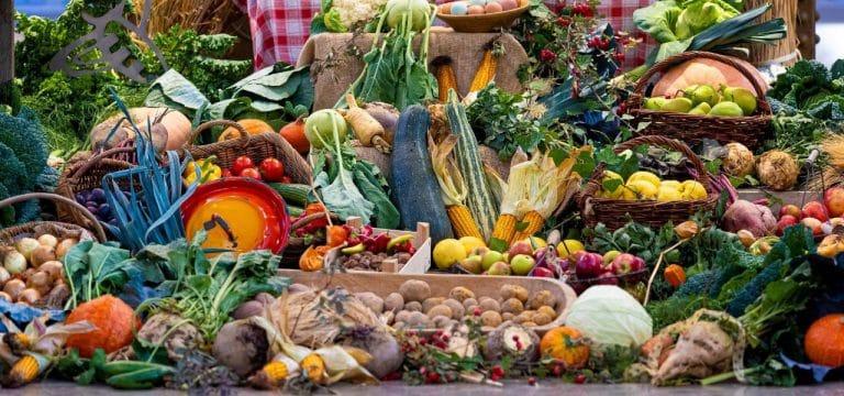 Stralsund richtet 2024 Landeserntedankfest aus