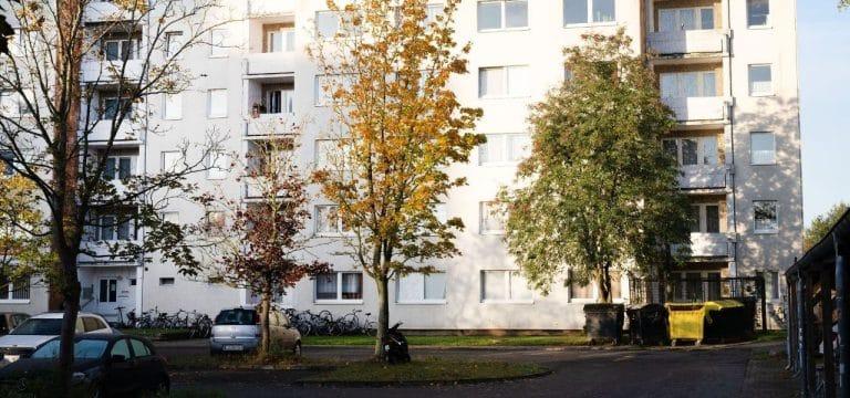 Greifswald: Zerstückelter Mann wahrscheinlich Bekannter von Verdächtigen