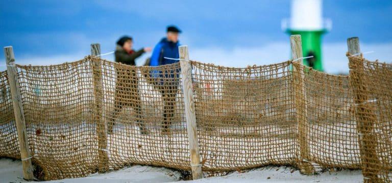 Strandversuch in Warnemünde: Kokoszäune als Sandfänger