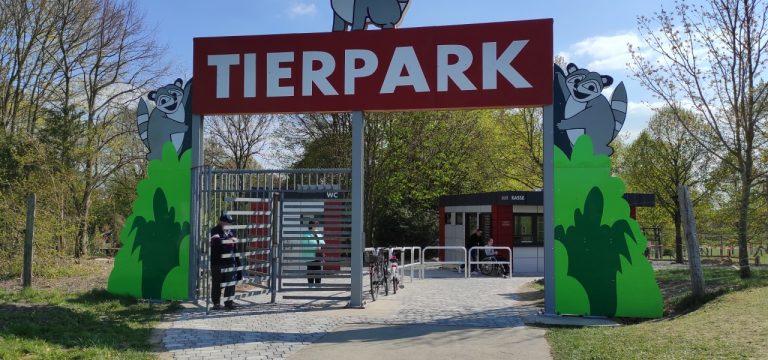 Frühlingserwachen bei den Alpakas: Tierpark Wismar startet in die neue Saison