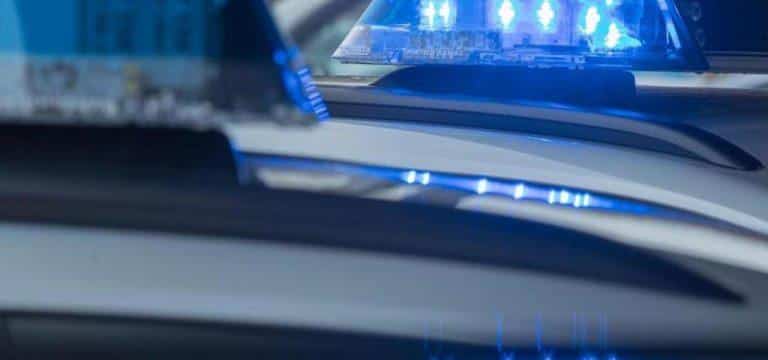 Fahrzeugscheiben eingeschlagen: Mutmaßlicher Dieb gefasst