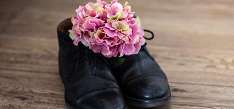 Leben bis zum letzten Tag: Schloss Bernstorf lud zum Welthospiztag