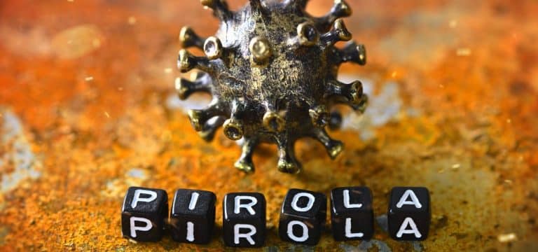 Neue Corona-Variante im Anmarsch: „Pirola“ bringt auch andere Symptome hervor