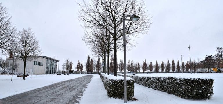 Die Veranstaltungshighlights in dieser Woche in Wismar (03/24)