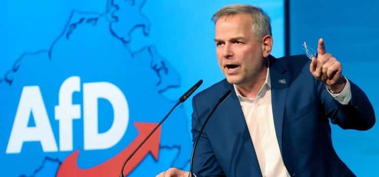 Holm weiter erster Landessprecher der AfD