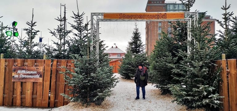 Die Veranstaltungshighlights in dieser Woche in Wismar (01/24)