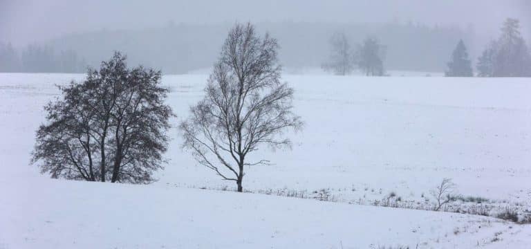 Meteorologen: Schneefall klingt in der Nacht ab