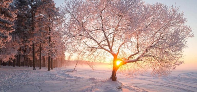 Die Veranstaltungshighlights in dieser Woche in Wismar (02/24)