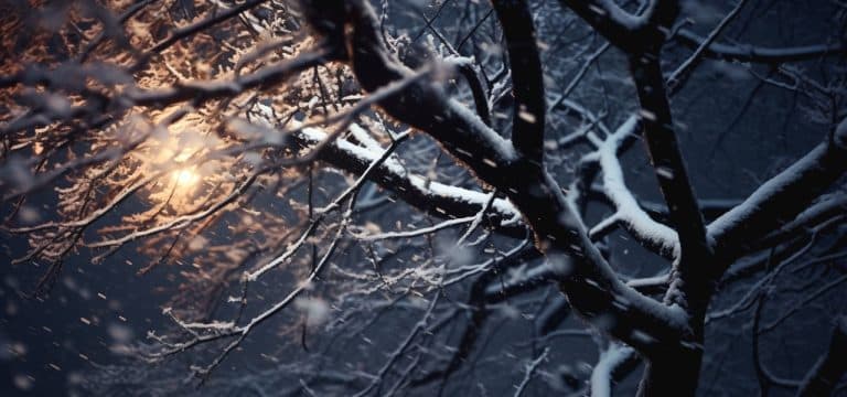 Wetter: Dauerfrost in Mecklenburg-Vorpommern vorhergesagt