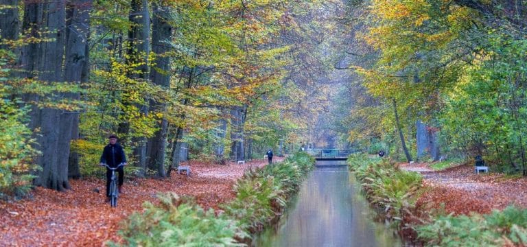 Erste Wege im größten Schlosspark von MV wieder freigegeben