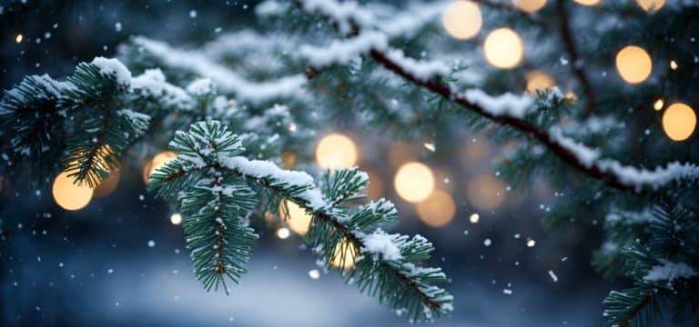 Weiße Weihnachten? Die Chancen im Norden stehen schlecht