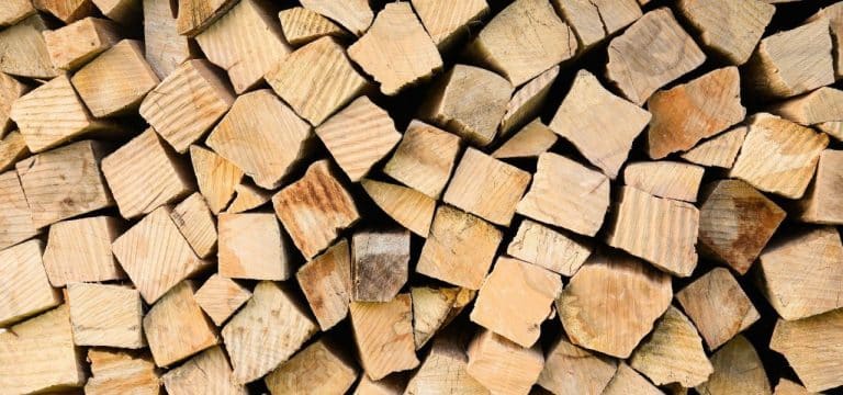 Holzdiebstahl nimmt zu: Diebe machen fette Beute in deutschen Wäldern