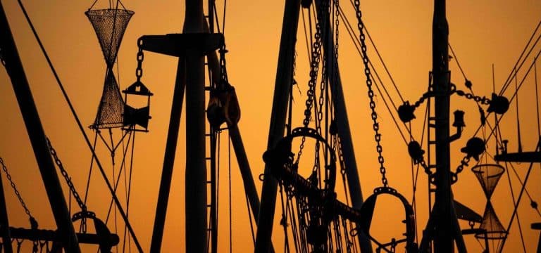 Förderung lokaler Strategien für Fischwirtschaftsgebiete