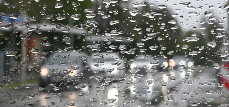 Gar nicht weihnachtlich: Regnerisches Wetter in Mecklenburg-Vorpommern erwartet