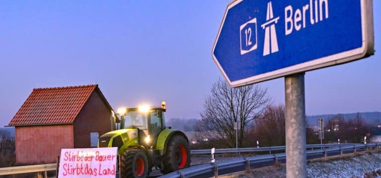 Kürzungspläne der Ampel: Bauernverband warnt vor Verschärfung des Strukturwandels