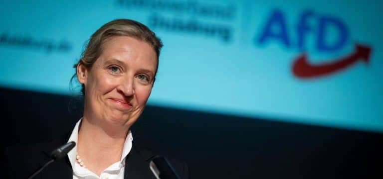 Schub durch Rechtsextremisten? AfD meldet 1400 neue Mitglieder seit 10. Januar