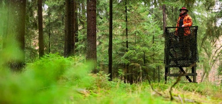 Landesjagdverband demonstriert gegen neues Jagdgesetz