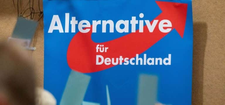 AfD will Programm für Kommunalwahlen in MV beschließen