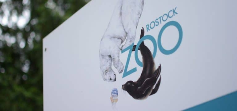 Zoo in Rostock wegen Sturms geschlossen