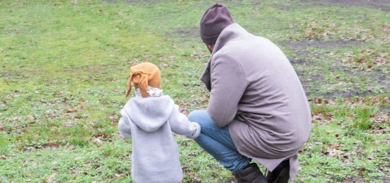 Erziehungshilfe und -beratung in MV immer häufiger gefragt