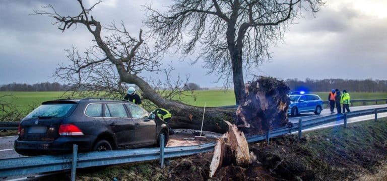 Sturmtief in MV: Umgestürzte Bäume und gekentertes Motorboot