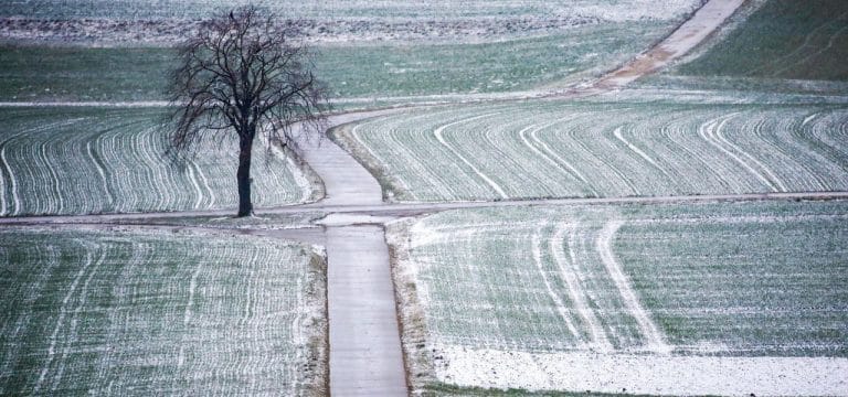 Wetter: Januar in MV mild mit einigen Schneetagen