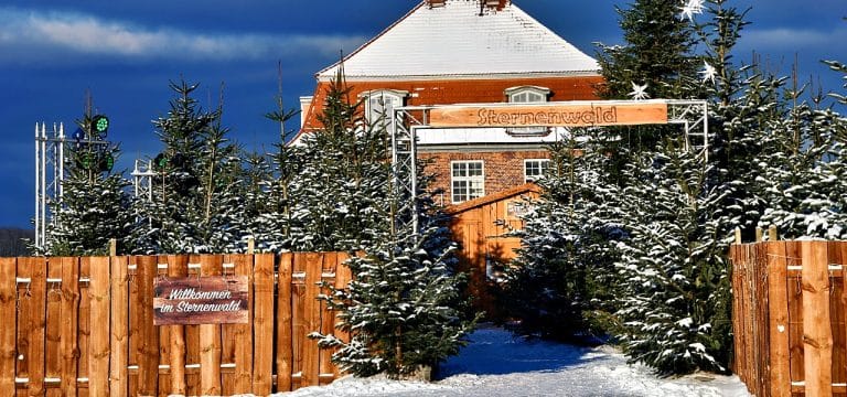 Winterzauber am Alten Hafen: Der „Sternenwald Wismar“ öffnet am 24. November