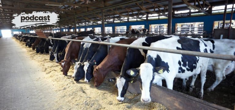 Nachhaltigkeit und Tierwohl: Die Rolle der Unternehmen in der Landwirtschaft