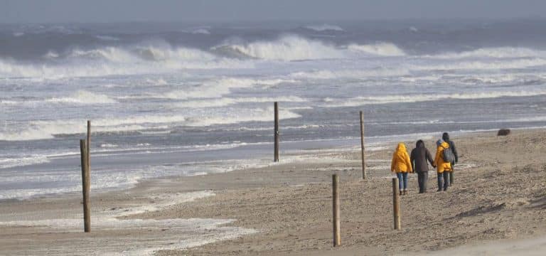 Wetterdienst sagt milde Temperaturen im Norden voraus