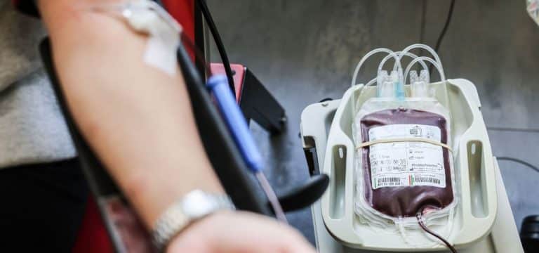 Gesundheitsministerin ruft junge Menschen zur Blutspende auf