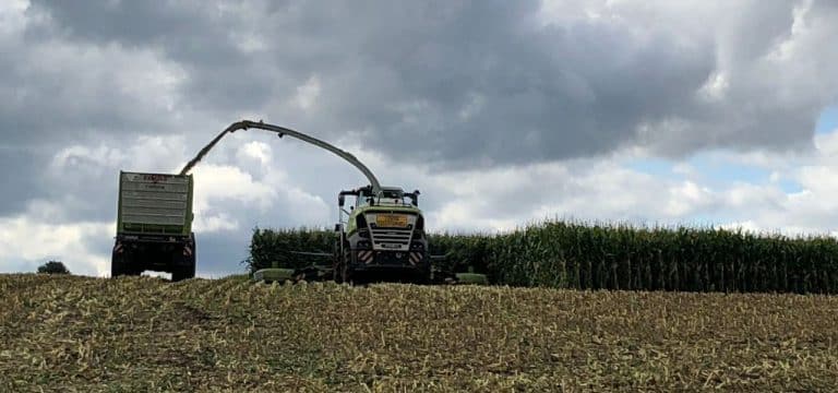 Immer weniger Beschäftigte in der Landwirtschaft in MV