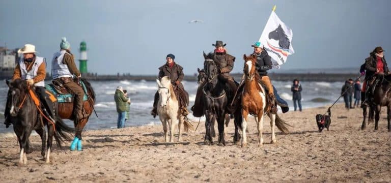 Mit Kostüm in die Fluten: Eisbader in der Ostsee