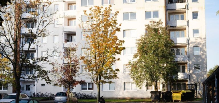 Zerstückelte Leiche in Greifswald: Zwei Männer vor Gericht