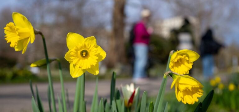 Verbraucher aufgepasst: Das ändert sich im April!