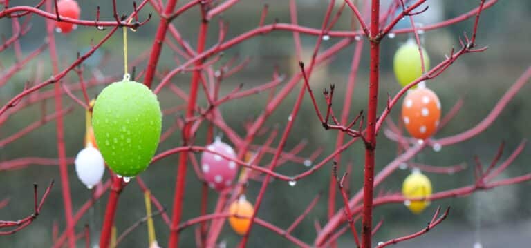 Das Osterwochenende wird nass und windig