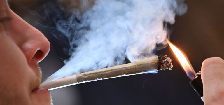 Drogenchaos vs. Eigengebrauch: Alles was man zur Cannabis-Legalisierung wissen muss