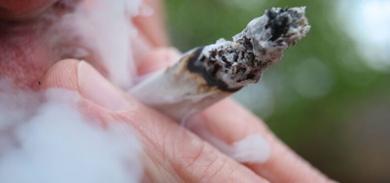 Durch Cannabis-Legalisierung: Buschmann erwartet Entlastung von Justiz und Polizei