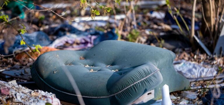Frühjahrsputz entlang Bundes- und Landesstraßen
