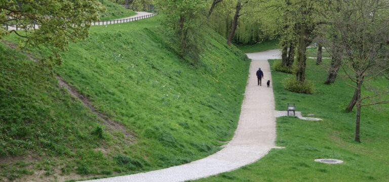 Mädchen zeigt Sexualdelikt in Rostocker Park an