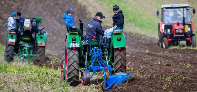 Grevesmühlen: Großes Zuschauerinteresse beim Oldtimer-Traktoren-Pflügen
